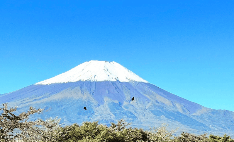 Mount Fuji Day Tour With English Speaking Guide - Pickup and Transportation