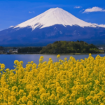 Mount Fuji Full Day Private Tour Review Tour Overview