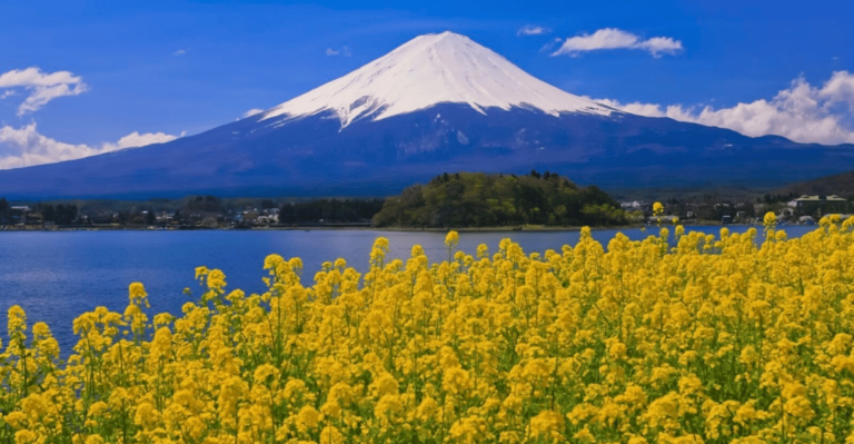 Mount Fuji Full Day Private Tour Review Tour Overview