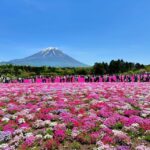 Mount Fuji Full Day Tour Along With A English Guide Tour Overview And Pricing