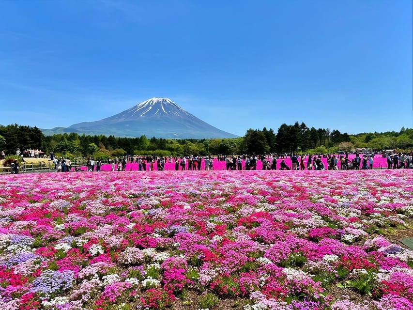 MOUNT FUJI FULL DAY TOUR ALONG WITH A ENGLISH GUIDE - Tour Overview and Pricing