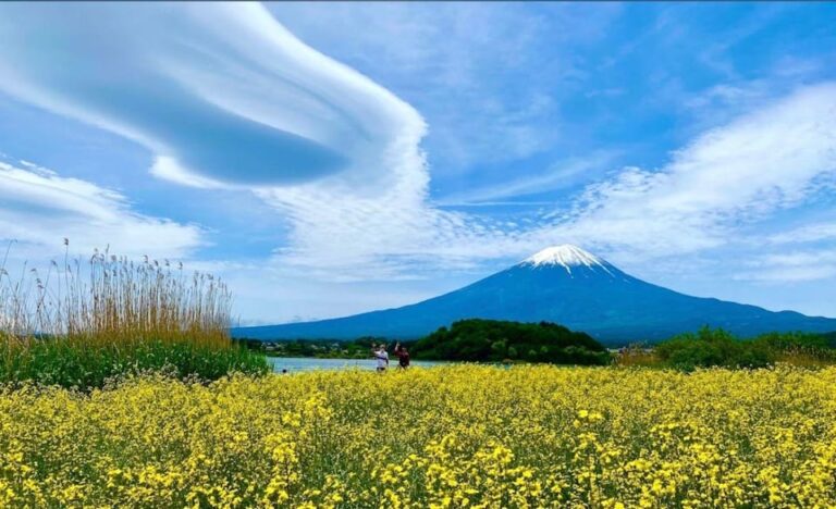 Mount Fuji Private Sightseeing Customized Day Tour Tour Overview