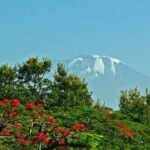 Mountain Kilimanjaro Climbing 8 Days Lemosho Route Pickup And Meeting Details