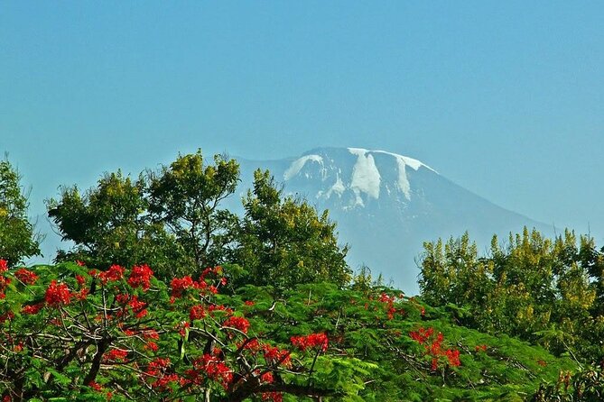 Mountain Kilimanjaro Climbing 8 Days Lemosho Route Pickup And Meeting Details