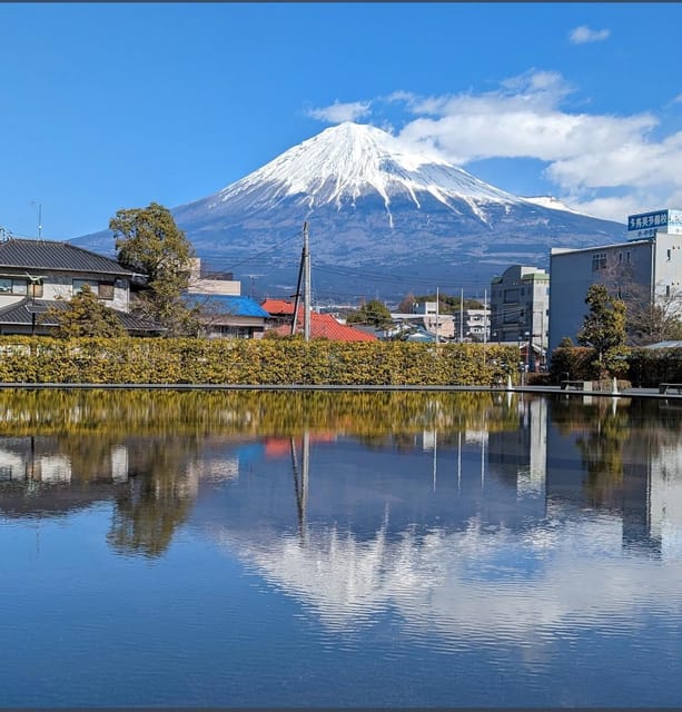 Mt.fuji Private Tour By Car With Pick And Drp From Tokyo Tour Overview And Pricing