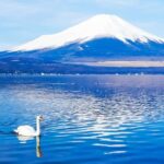 Mt.fuji:lake Kawaguchi,yamanaka & Onsen Day Tour From Tokyo Tour Overview