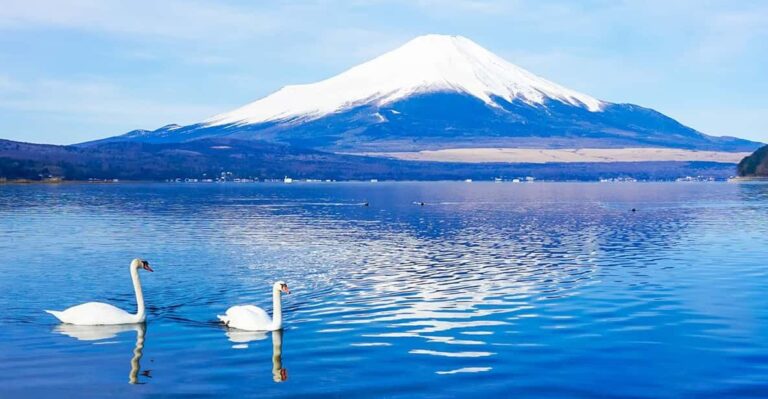 Mt.fuji:lake Kawaguchi,yamanaka & Onsen Day Tour From Tokyo Tour Overview