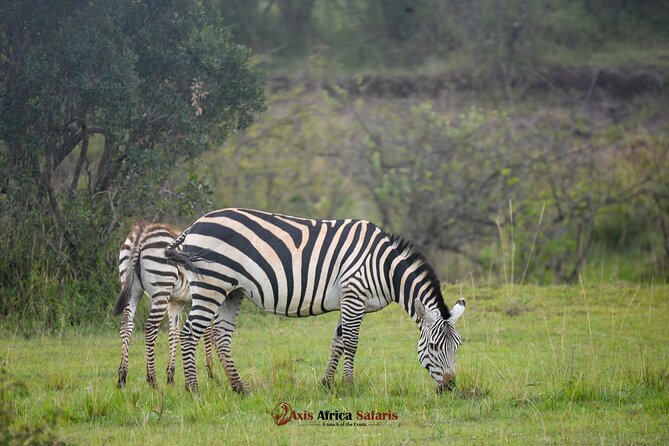 Multi Day Masai Mara Lake Nakuru Park Hellsgate Park Tour Tour Details