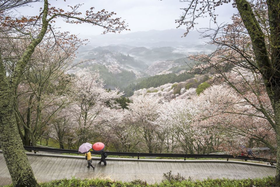 Nara Like a Local: Customized Guided Tour - Tour Overview