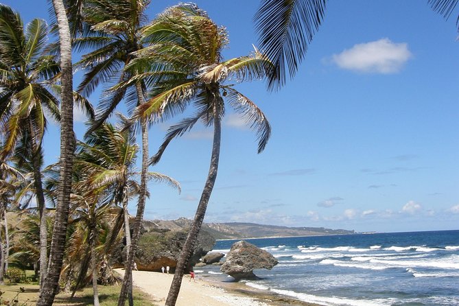 Natural Wonders Of Barbados Small Group Or Private Tour With Harrisons Cave Full Day Natural Wonders Tour