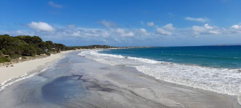 Nature Walk + Beach, Yoga & Option Of Healthy Bio Picknick Activity Overview