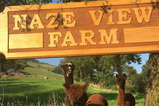 Naze View Farm Alpaca Experience - Inclusions and Meeting Point