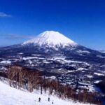 New Chitose Airport : 1 Way Private Transfers To/from Niseko Service Highlights