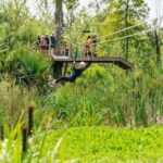 New Orleans: Swamp Zipline Tour Tour Overview And Pricing