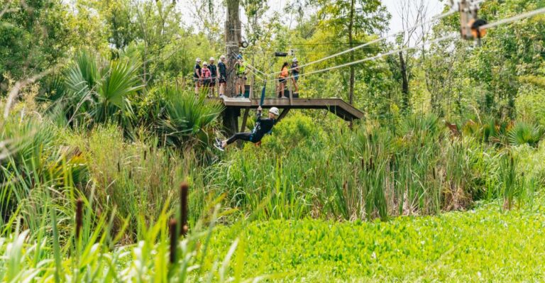 New Orleans: Swamp Zipline Tour Tour Overview And Pricing