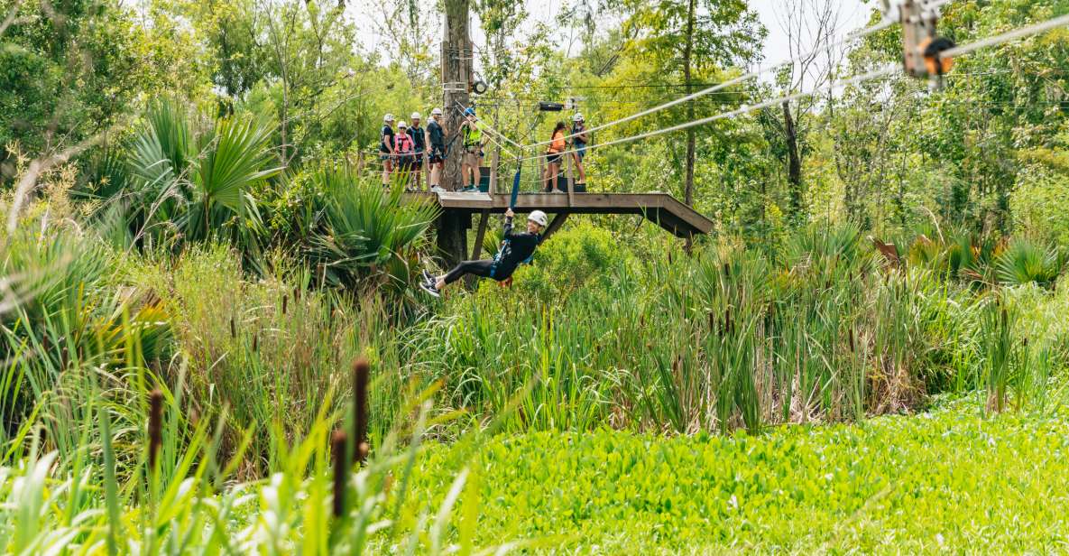 New Orleans: Swamp Zipline Tour - Tour Overview and Pricing