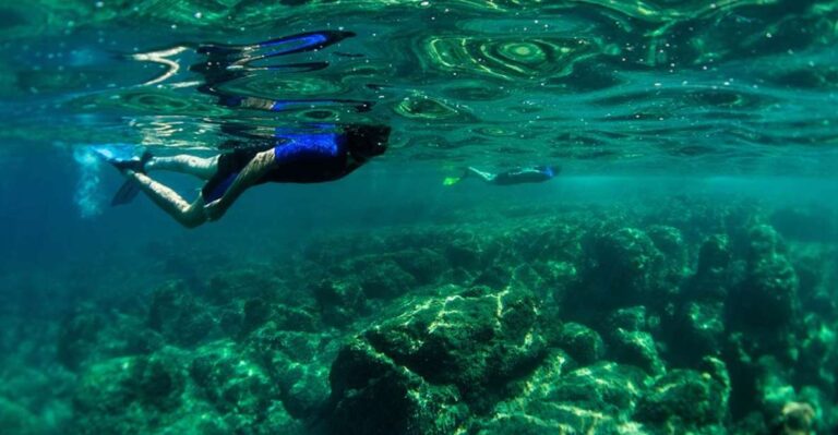 Nice: Speedboat Day Trip With Snorkeling In Villefranche Bay Speedboat Excursion From Nice