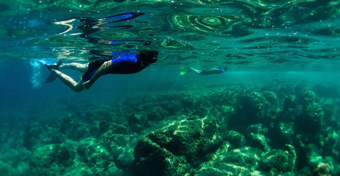 Nice: Speedboat Day Trip With Snorkeling in Villefranche Bay - Speedboat Excursion From Nice