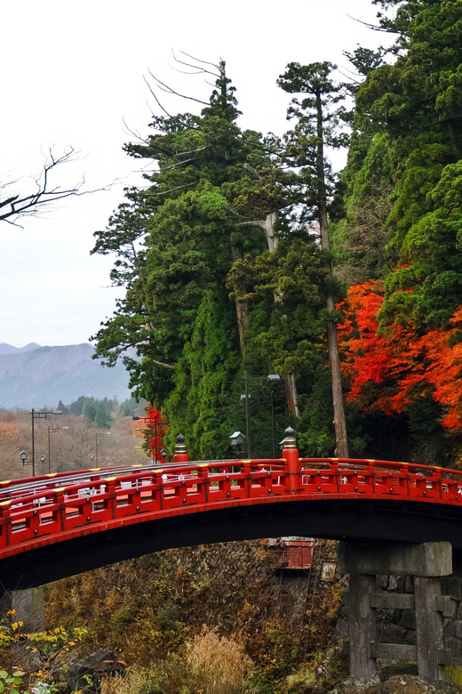 Nikko: Private Sightseeing Day Tour With Driver & Transport - Tour Overview and Pricing