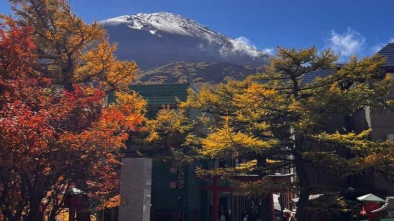 Nikko Private Tour With English Speaking Driver Tour Overview