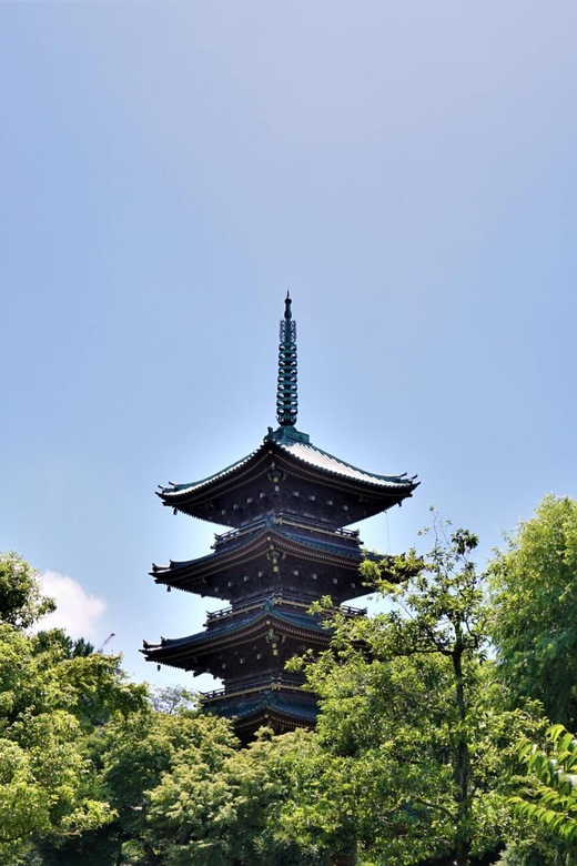 Nikko Sightseeing Day Trip With English Speaking Guide - Trip Overview