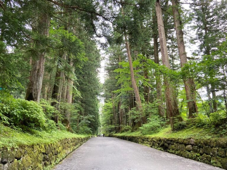 Nikko: The Tour From Nikko Station Review Tour Overview And Pricing