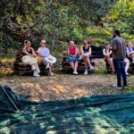 North Corfu Olive Tour With Olive Oil Tasting & Meze Overview Of The Tour