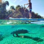 North Miami: Nature & Island Exploration On Sup/kayak Tour Overview And Pricing