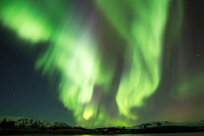 Northern Lights Cruise From Reykjavik - Overview of the Northern Lights Cruise