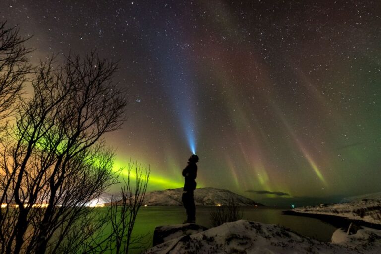 Northern Lights Tromsø Small Group Tour With Local Guide Tour Details