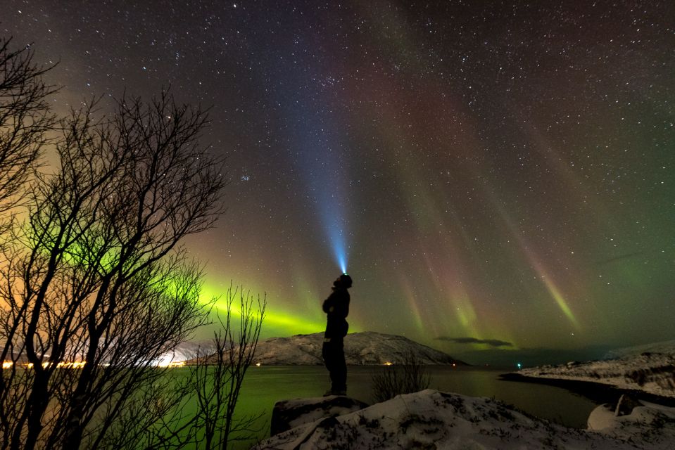 Northern Lights Tromsø - Small Group Tour With Local Guide - Tour Details