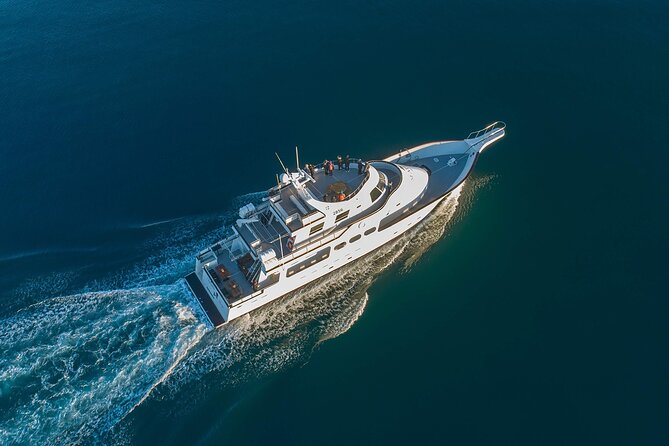 Northern Lights Yacht Cruise in Reykjavik - Overview of the Cruise