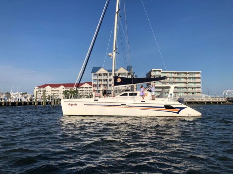 Ocean City: Assateague Island Morning Cruise Activity Overview