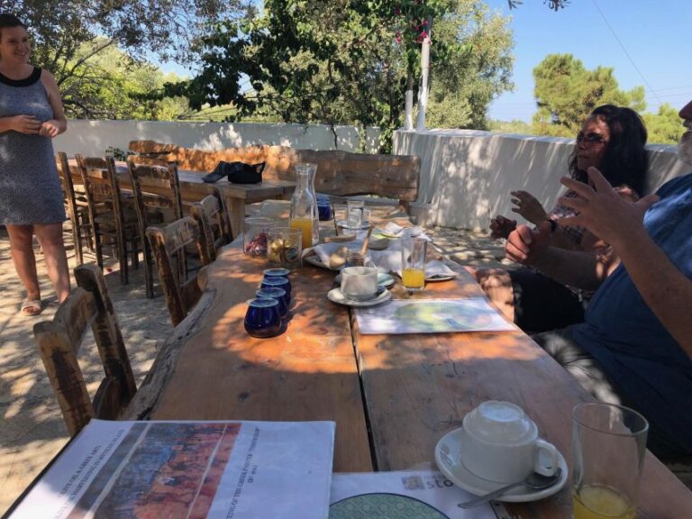 Olive Grove Tour & Olive Oil Tasting And Lunch In Messinia Tour Overview And Pricing