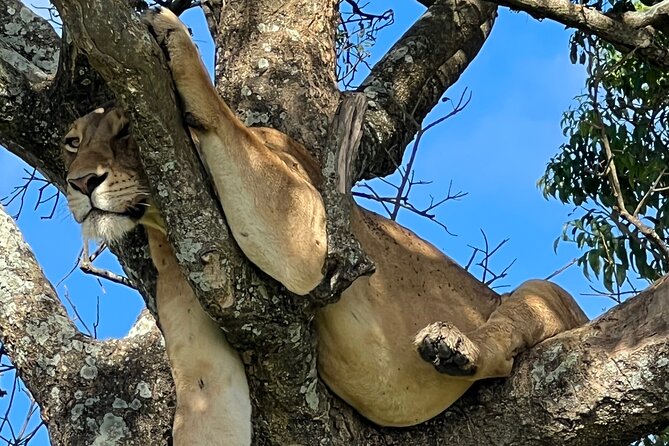 One Day Akagera Safari From Kigali - Overview of Akagera National Park