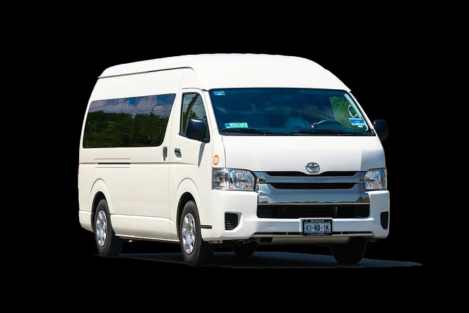 One Way Transportation From To Airpot and Punta Cana Hotels - Overview of Transportation Service