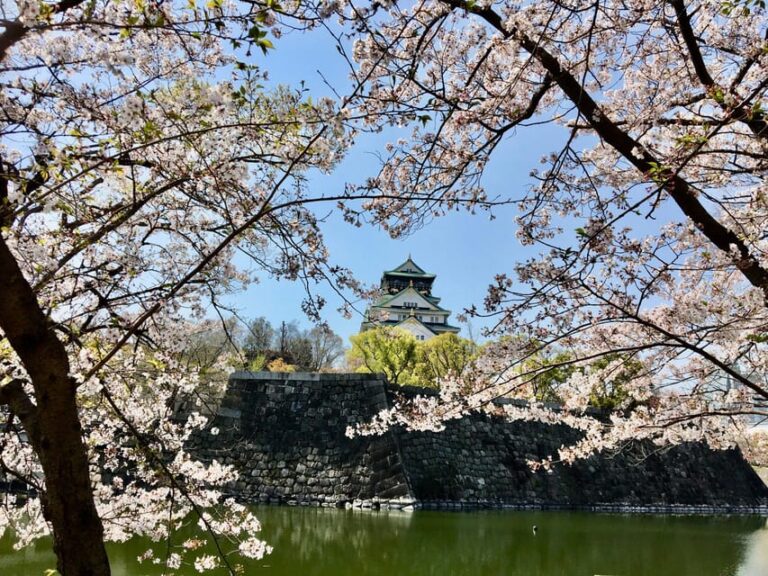 Osaka: Half Day Private Guided Tour Of The Castle Tour Overview And Pricing