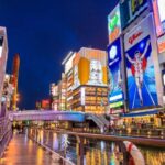 Osaka Nightlife Adventure: Bar Hopping And More Tour Overview And Pricing