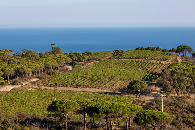 Osteria Without Osteria: Not an Ordinary Osteria at Tenuta Delle Ripalte - Included Amenities at Tenuta Ripalte