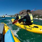 Paddle With The Penguins Overview And Experience