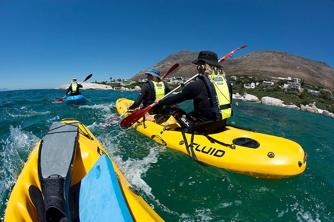 Paddle With the Penguins - Overview and Experience