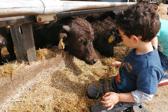 Paestum Traditions, Buffaloes, Ceramics, Temples Optional Purchases