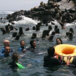 Palomino Islands Yacht Tour And Swim Alongside The Sea Lions Tour Overview And Pricing