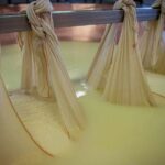 Parmigiano Reggiano Cheese Factory Tour & Tasting Experience Overview Of The Tour