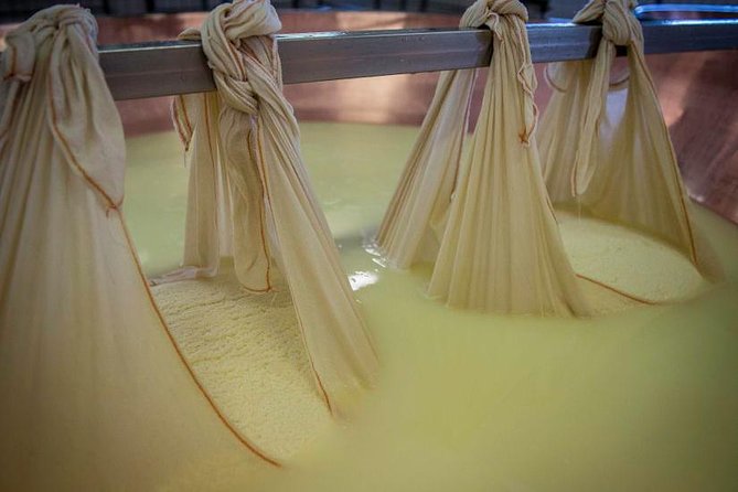 Parmigiano Reggiano Cheese Factory Tour & Tasting Experience - Overview of the Tour