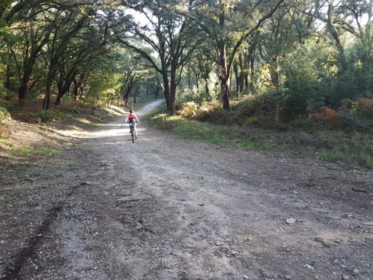 Peneda Gerês National Park: Self Guided Electric Bike Tour Tour Overview