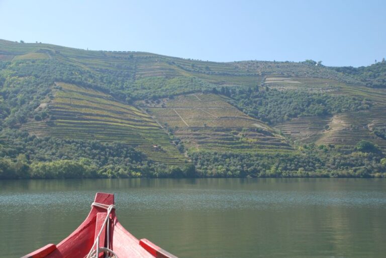 Pinhão: Rabelo Boat 1 Hour Tour Tour Overview