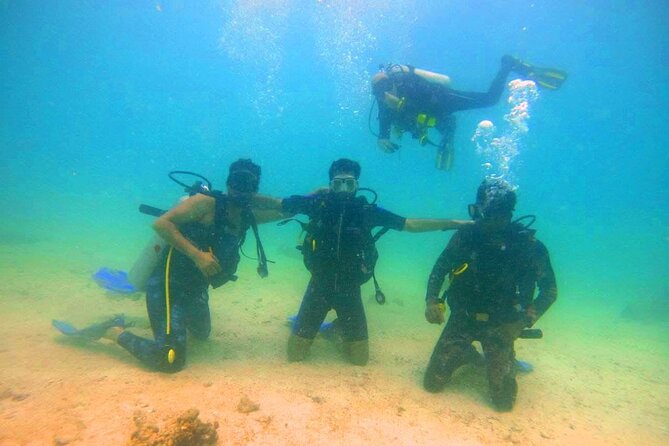 Pleasure Scuba Diving in Fujairah for Certified Diver - Overview and Experience Details