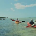 Pm Half Day Trip From Key West With Kayaking, Snorkeling & Sunset Overview Of The Excursion