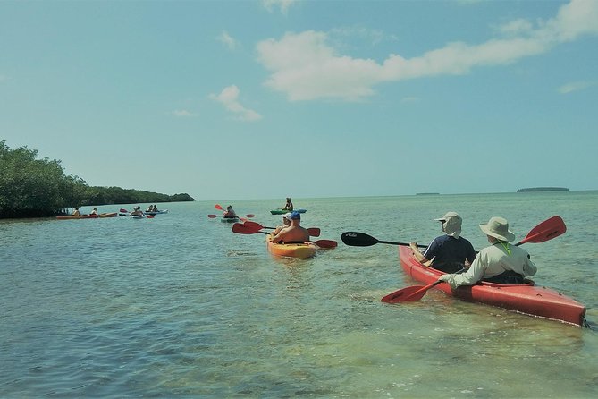 PM Half-Day Trip From Key West With Kayaking, Snorkeling & Sunset - Overview of the Excursion